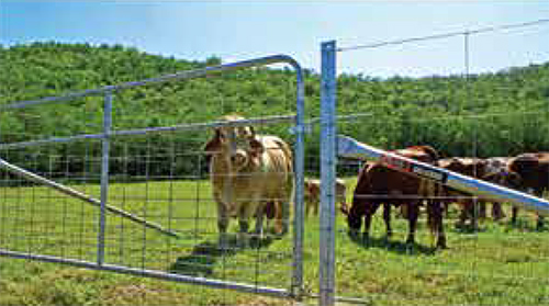 puerta de rancho para ganado triple nudo