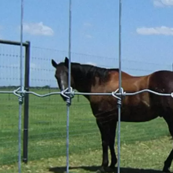 equinos, borregos y cabras malla triple nudo